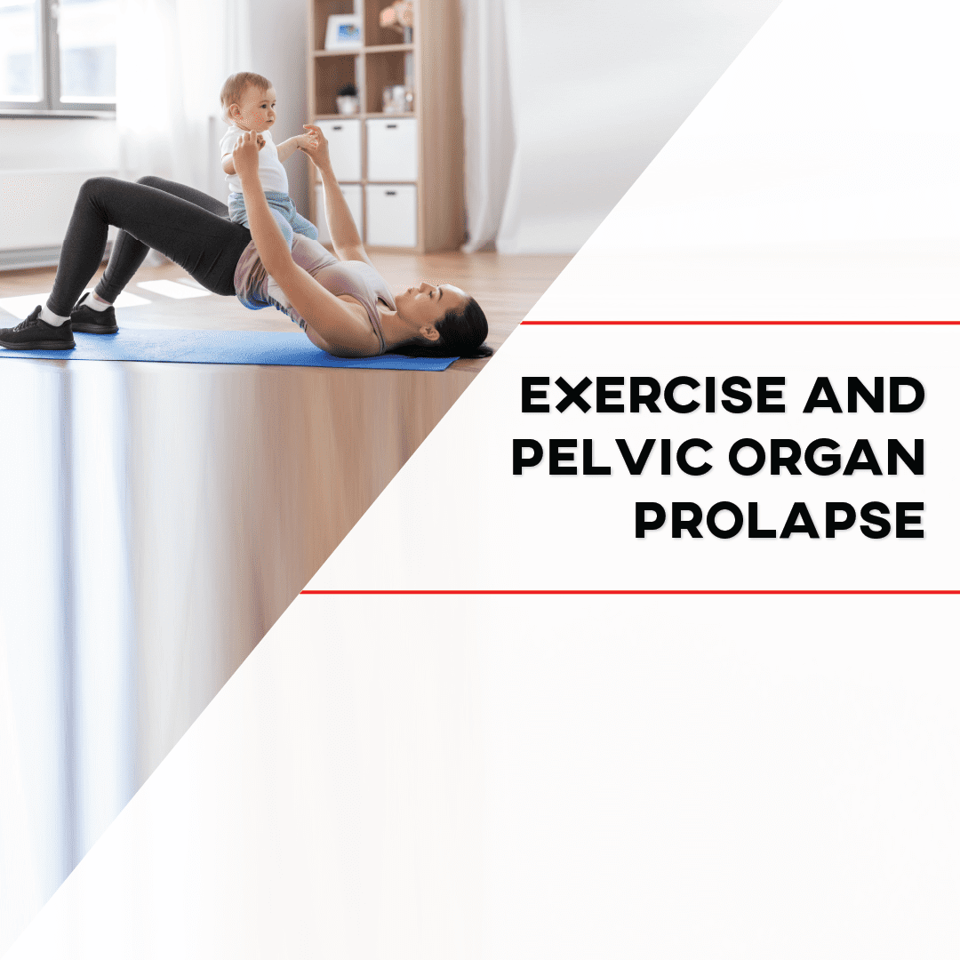 Pin by Sat Deol on Hip muscles  Pelvic organ prolapse, Pelvic floor  exercises, Pelvic floor