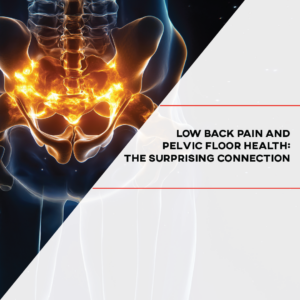 LOW BACK PAIN AND THE PELVIC FLOOR THE PREHAB GUYS